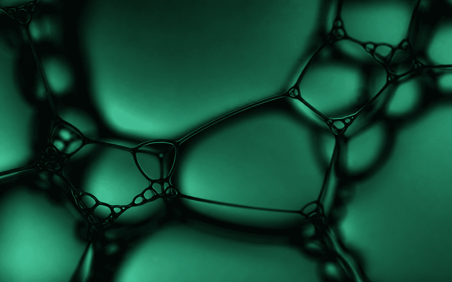 Abstract green organic texture
